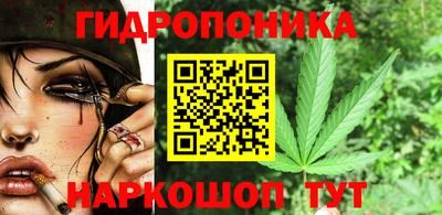 молекула духа Тверь