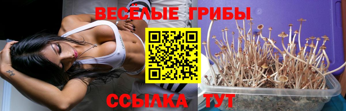 Псилоцибиновые грибы ЛСД  Вход с VPN  Галлюциногенные грибы Cubensis  Амурск 